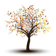 arbre - automne fond blanc, tree in autumn isolated on white