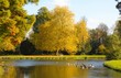 Chantilly