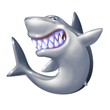 shark shark