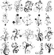 Floral silhouette, vector set