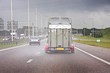 Driving on the highway in the rain in the Netherlands