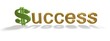Text "Success" and dollar
