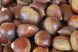castagne
