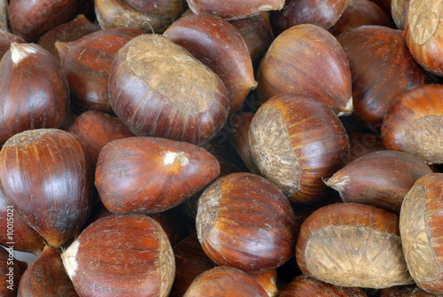 castagne castagne
