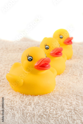 Photo: three child's rubber duck on top of towel ready for bath time three child's rubber duck on top of towel ready for bath time