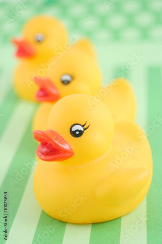 Photo: three child's rubber duck on top of green striped background three child's rubber duck on top of green striped background