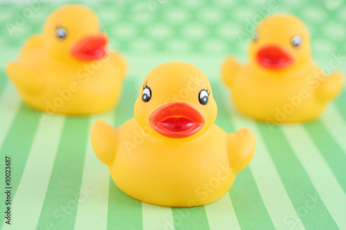 Photo: three child's rubber duck on top of green striped background three child's rubber duck on top of green striped background