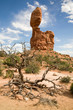 Der Balanced Rock im Arches National Park in Utah