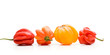 4 Habenero Chillis in einer Reihe vor weiß