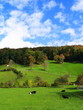 Appenzell...pays du fromage