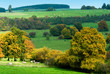 beautiful autumn country landscape in belgium (Ardennes) beautiful autumn country landscape in belgium (Ardennes)