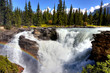 Athabasca Fälle Athabasca Fälle