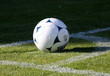 Le ballon du match
