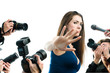 Photographers are taking a picture of a film star