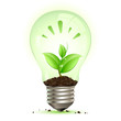 Concept énergie verte