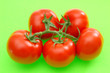 tomatoes on green background