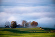 nebellandschaft III