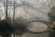 Old bridge in misty autumn park Old bridge in misty autumn park