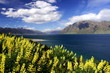 Lake Hawea