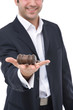 business laws concept with a gavel and businessman