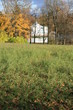 Tsarskoe Selo Park - Catherine Palace Park
