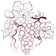 Grapes With Leaves