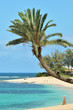 Tropical beach scene on a sunny day in Oahu, Hawaii