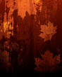 Maple leaves