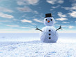 Bonhomme de neige