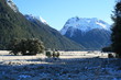 Sunny winter in  NZ