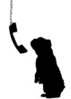 dog sitting up begging with phone dangling down beside