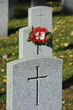 Three soldier tombstones with crosses and bouquet of flowers