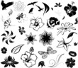 set of vector flowers