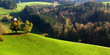 vallonnement verdoyant