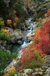 corsica's river asco corsica's river asco