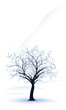 paysage de montagne en hiver - winter landscape and tree