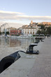 ibiza ibiza