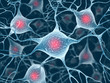Neurons and Nucleus (Structure of the brain) Neurons and Nucleus (Structure of the brain)