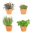 Rosemary, Basil, Sage and Thyme Herbs Rosemary, Basil, Sage and Thyme Herbs