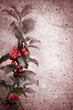 Vertical photo of holly branch over rough cement wall.