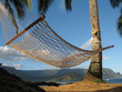 Hammock