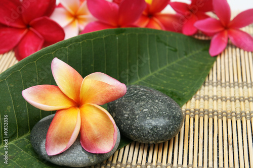 spa and wellness scene