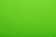 Water drops on a green background