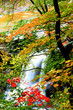 Brandywine Water Falls Brandywine Water Falls