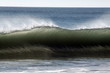 vague d'automne