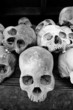 Human Skulls At The Killing Fields, Cambodia