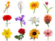 Blumen Collage