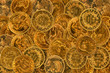Pièces d'or