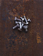 bolt