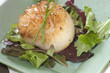 A single large scallop on a a bed of lettuce